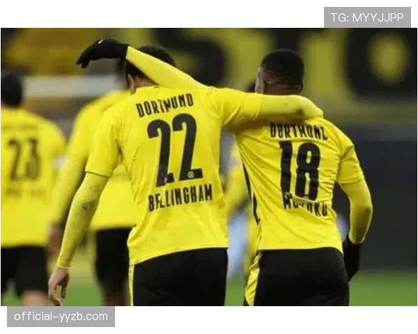 欧足联站席新规引发争议，多特蒙德主席瓦茨克怒斥为-官僚主义-